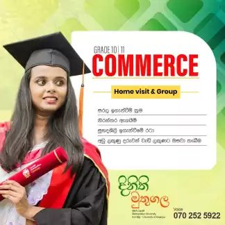OL Commerce - Business & Accounting Studies | 10 - 11 Grades (Home Visits)