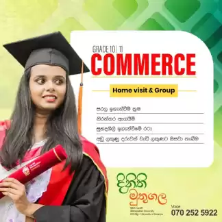 OL Commerce - Business & Accounting Studies | 10 - 11 Grades (Home Visits)