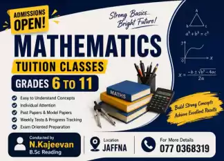 OL maths classes