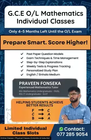 OL Maths Individual Classes (Online & Physical)