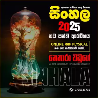 Online and physical tutoring for Grade 6-11 ordinary level
