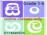 Online class only