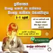 Online classes for History & Sinhala Language and Literature