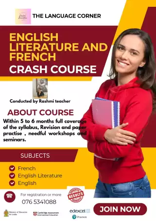 Online classes- French
