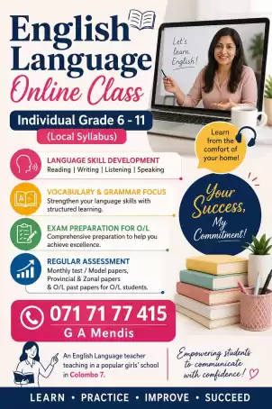 Online Classes - Grade 6 -11 English (Individual)