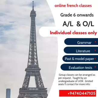 ONLINE FRENCH CLASSES