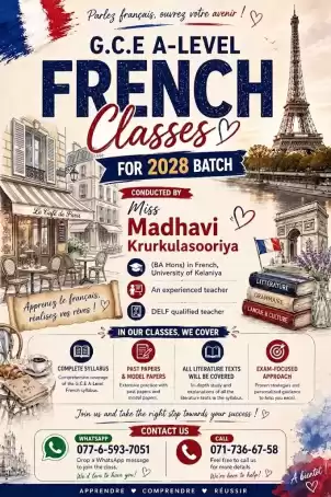 Online French Classes