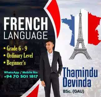 Online French Language classes