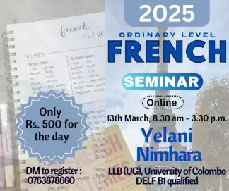 Online French Seminar