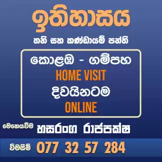 ඉතිහාසය - තනි සහ කණ්ඩායම් පන්ති (online | Home visit)