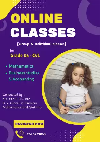 Online Mathematics and Business classes