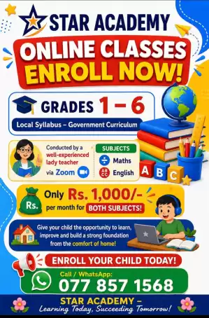 Online Mathematics and English Classes