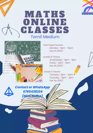 Online Maths classes