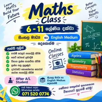 Online Maths classes grade 6-11