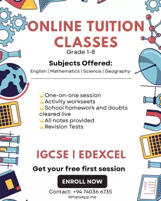 Online tuition classes