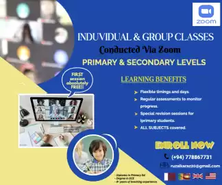 Online Tutor