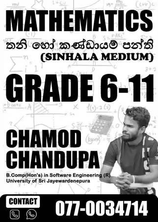 Ordinary level mathematics Group and individual classes