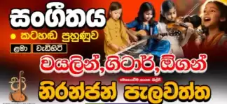Oriental music for students from grade 1 to advanced level ( theory and practical) online and physical voice training / organ/ violin/guitr