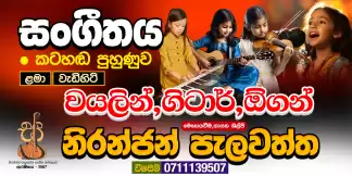 Oriental music for students in grade 1 to advanced level ( theory and practical) online and physical voice training / organ/ violin/guitr