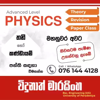 Physics Group and Individual