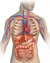 🩺 Pre-Medical Classes for Future MBBS/MD Students 🩺 Pre-Medical Classes for Future MBBS/MD Students