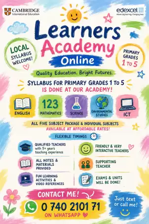 Primary grade 1-5 classes