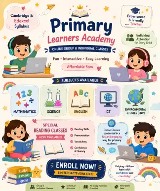 Primary grade education (local) ( international)