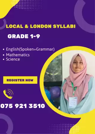 Primary individual classes (English, mathematics)