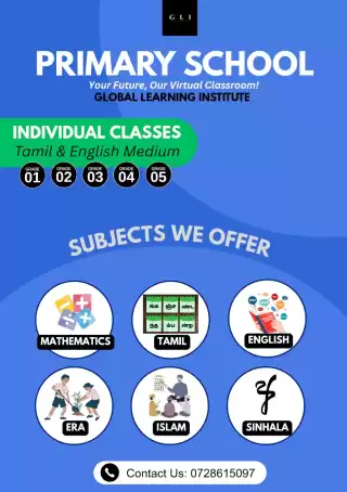 Primary Online Classes