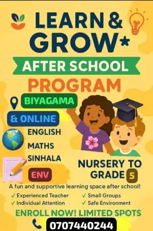 primary teacher