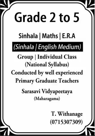 Primary Teacher