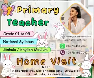 Primary Teacher
