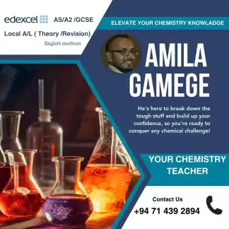 Professional Chemistry Educator