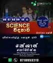 Science Classes for Grade 6-11