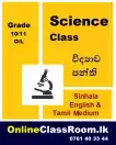 Science Classes Grade 10/11(O/L) Online
