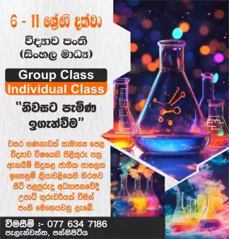 Science Classes O/L (6-11)