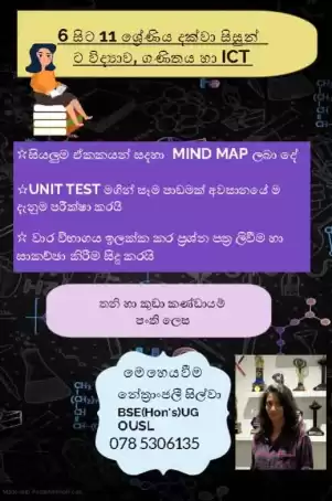 Science, maths and ICT Classes for O/L students
