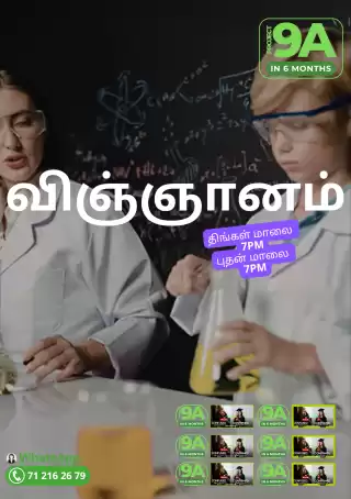 Science - Project 9A
