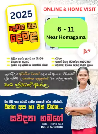 දෙමළ පන්තිය(පොඩ්ඩෝ වැඩ්ඩෝ කරන) | Second Language Tamil | 2025