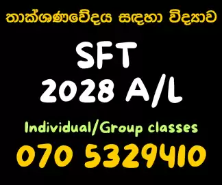SFT 2028 AL | තාක්ශණවේදය සඳහා විද්‍යාව | Group and Individual