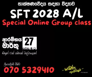 SFT 2028 AL Online Group Class