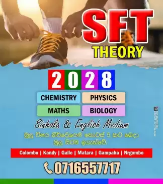 Technology 2028(SFT)
