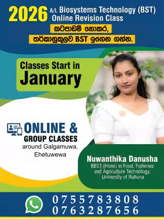 ඔබේ Technology Stream අනාගතය BST සමඟ බබළවන්න – 2026 A/L Online BST Class