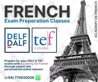 🇫🇷 TEF & DELF French Classes for Canada PR & Adult Beginners 🇨🇦