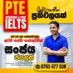 The Best IELTS and PTE Class