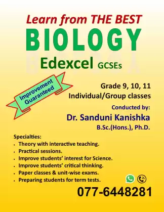 THE BEST place to learn GCSEs Biology