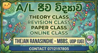 Theory class , Revision class , Paper class