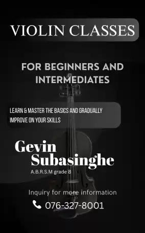 Violin Class For Beginners And Intermediates Violin Class For Beginners And Intermediates