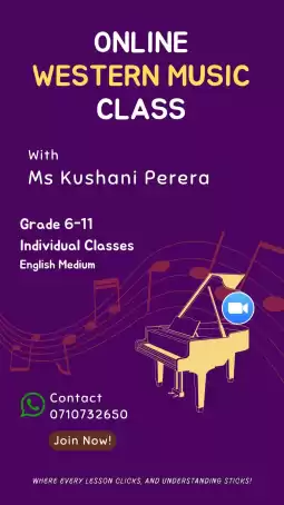 Western Music Classes Online Western Music Classes Online