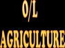 Online Class-Agriculture,Sinhala Medium